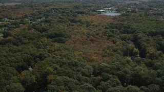 AX91_183 - 4K aerial stock footage of approaching suburban neighborhoods from forests, autumn, Guilford, Connecticut