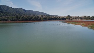 AXSF01_041 - 5K aerial stock footage of flying over the lake as flock of birds take flight, Lake Cachuma, California