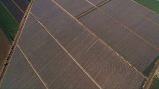 AXSF02_008 - 5K aerial stock footage of a bird's eye view of fields of crops, Santa Maria, California