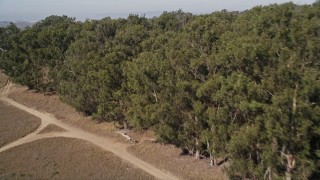 AXSF02_012 - 5K aerial stock footage of approaching and flying over the edge of a small forest, Nipomo, California