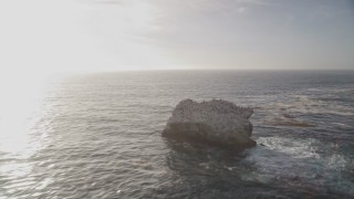 AXSF03_099 - 5K aerial stock footage of flying low over ocean past birds perched on rock formation, Big Sur, California