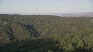 AXSF03_112 - 5K aerial stock footage Fly over forest to reveal green mountain ridges, Los Padres National Forest, California