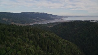 AXSF06_066 - 5K aerial stock footage fly over forest in Point Reyes National Seashore reveal Bolinas Lagoon, Olema, California