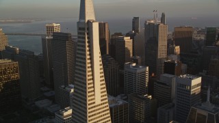 AXSF13_045 - 5K aerial stock footage flyby skyscrapers and reveal the iconic Transamerica Pyramid, Downtown San Francisco, California