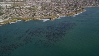 AXSF15_090 - 5K aerial stock footage of kelp forests near coastal neighborhoods, Santa Cruz, California
