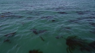 AXSF15_093 - 5K aerial stock footage of tilting from kelp forests to a wider view of the ocean, Northern California