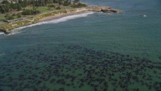 AXSF15_096 - 5K aerial stock footage of tilt from kelp forests to reveal coastal neighborhoods and Santa Cruz Wharf, Santa Cruz, California