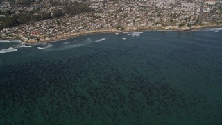 AXSF15_106 - 5K aerial stock footage of kelp forests near coastal neighborhoods, Santa Cruz, California