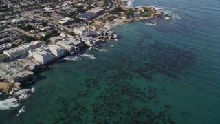AXSF16_008 - 5K aerial stock footage tilt from kelp to reveal coastal neighborhoods and Monterey Bay Aquarium, Monterey, California