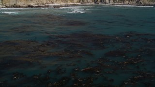 AXSF16_078 - 5K aerial stock footage of tilting from floating kelp to reveal coastal cliffs, Big Sur, California