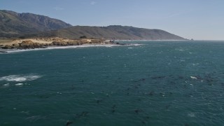 AXSF16_092 - 5K aerial stock footage fly over kelp in Pacific Ocean near the coastline and tilt down to the water, Big Sur, California