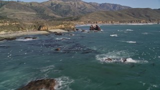 AXSF16_094 - 5K aerial stock footage of passing by seagulls in flight near the coastline, Big Sur, California