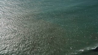 AXSF16_095 - 5K aerial stock footage of tracking seagulls flying near the coast, Big Sur, California