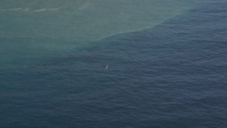 AXSF16_144 - 5K aerial stock footage of flying by a whale surfacing in the Pacific Ocean, zoom to a closer view, California