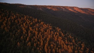 AXSF17_067 - 5K aerial stock footage of flying by wooded mountain ridge, Los Padres National Forest, California, sunset