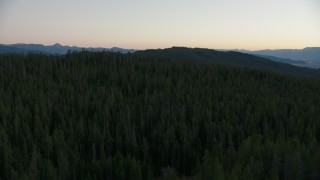 CAP_002_008 - HD stock footage aerial video of flying over evergreen forest in Jackson Hole, Wyoming, twilight