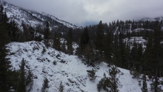 CAP_015_018 - 4K stock footage aerial video fly over trees and snow-covered mountain slopes, Inyo National Forest, California