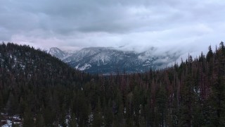 CAP_019_001 - 4K stock footage aerial video of flying over evergreen forest toward snowy mountains, Inyo National Forest, California