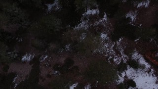 CAP_019_006 - 4K stock footage aerial video a bird's eye view of a snowy evergreen forest, Inyo National Forest, California