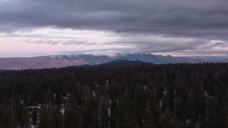 CAP_019_008 - 4K stock footage aerial video approach distant mountains seen from snowy evergreen forest, Inyo National Forest, California