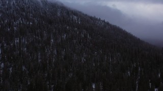 CAP_019_009 - 4K stock footage aerial video of evergreen forest on snowy mountain slope, Inyo National Forest, California