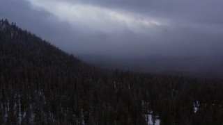 CAP_019_010 - 4K stock footage aerial video of panning across evergreen forest on snowy mountain slope, Inyo National Forest, California