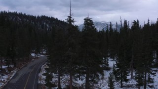 CAP_019_013 - 4K stock footage aerial video ascend from road and evergreen forest to reveal distant snowy mountains, Inyo National Forest, California