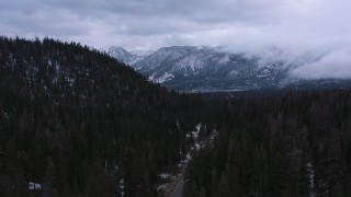 CAP_019_014 - 4K stock footage aerial video fly over evergreen forest toward distant snowy mountains, Inyo National Forest, California