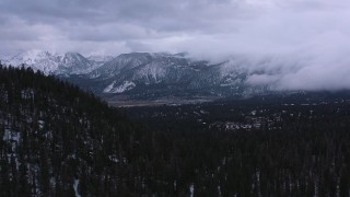 CAP_019_016 - 4K stock footage aerial video of evergreen forest and distant snowy mountains, Inyo National Forest, California