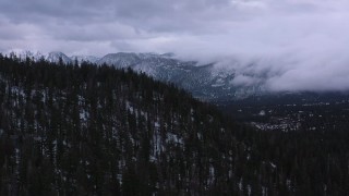 CAP_019_017 - 4K stock footage aerial video of flying by evergreen forest and distant snowy mountains, Inyo National Forest, California