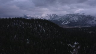 CAP_019_019 - 4K stock footage aerial video of flying over evergreen forest toward Mammoth Mountain, Inyo National Forest, California