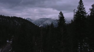 CAP_019_021 - 4K stock footage aerial video ascend from evergreen forest to reveal snowy mountains, Inyo National Forest, California