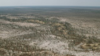 CAP_026_046 - HD stock footage aerial video of trees and brush in the savanna, Zimbabwe