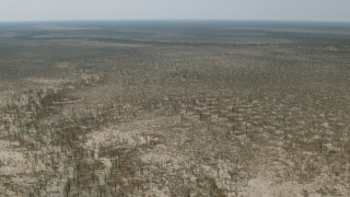 CAP_026_047 - HD stock footage aerial video of a wide view of trees and brush in the open savanna, Zimbabwe