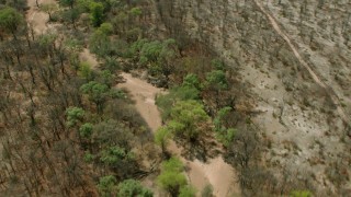 CAP_026_055 - HD stock footage aerial video of tilting to green trees lining a shallow river in the open savanna, Zimbabwe