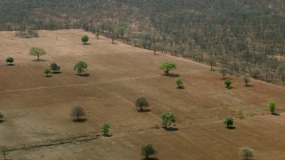 CAP_026_058 - HD stock footage aerial video of orbiting green trees and fields in the open savanna, Zimbabwe