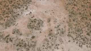 CAP_026_094 - HD stock footage aerial video a bird's eye view of trees and bushes in the savanna, Botswana