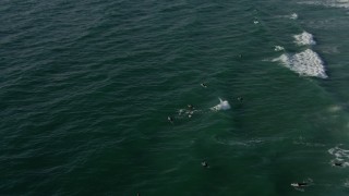DCA08_248 - 4K aerial stock footage approach surfers and tilt to a bird's eye view of them, La Jolla, California