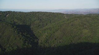 DCSF03_055 - 5K aerial stock footage Fly over forest to reveal green mountain ridges, Los Padres National Forest, California