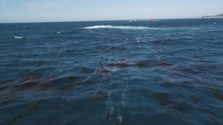 DCSF11_017 - Aerial stock footage of 5K Aerial Video Tilt from the water to reveal and fly over kelp in the Pacific Ocean and distant rock formations, Carmel, California