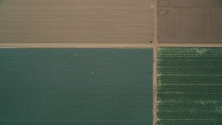 DFKSF02_007 - 5K aerial stock footage of a bird's eye view of crops and brown fields, Santa Maria, California