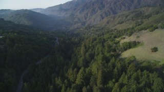 DFKSF03_131 - 5K aerial stock footage of following Highway 1 through evergreen forest, Big Sur, California