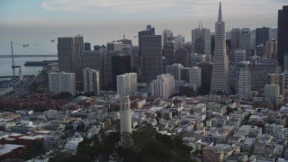 DFKSF06_173 - 5K aerial stock footage orbit Coit Tower, reveal Transamerica Pyramid and skyscrapers, Downtown San Francisco, California