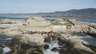 DFKSF15_105 - 5K stock footage aerial video of passing by abandoned buildings, seals, sea lions, Año Nuevo Island, California