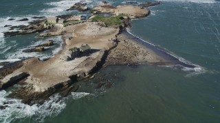 DFKSF15_107 - 5K stock footage aerial video of flying away from seals and sea lions on Año Nuevo Island, California