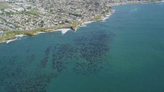 DFKSF15_119 - 5K aerial stock footage of kelp forests near coastal neighborhoods, Santa Cruz, California
