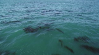 DFKSF15_124 - 5K aerial stock footage of tilting from kelp forests to a wider view of the ocean, Northern California
