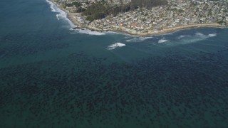 DFKSF15_139 - 5K aerial stock footage of kelp forests near coastal neighborhoods, Santa Cruz, California