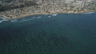DFKSF15_140 - 5K aerial stock footage of kelp forests near coastal neighborhoods, Santa Cruz, California