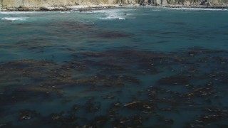 DFKSF16_082 - 5K aerial stock footage of tilting from floating kelp to reveal coastal cliffs, Big Sur, California